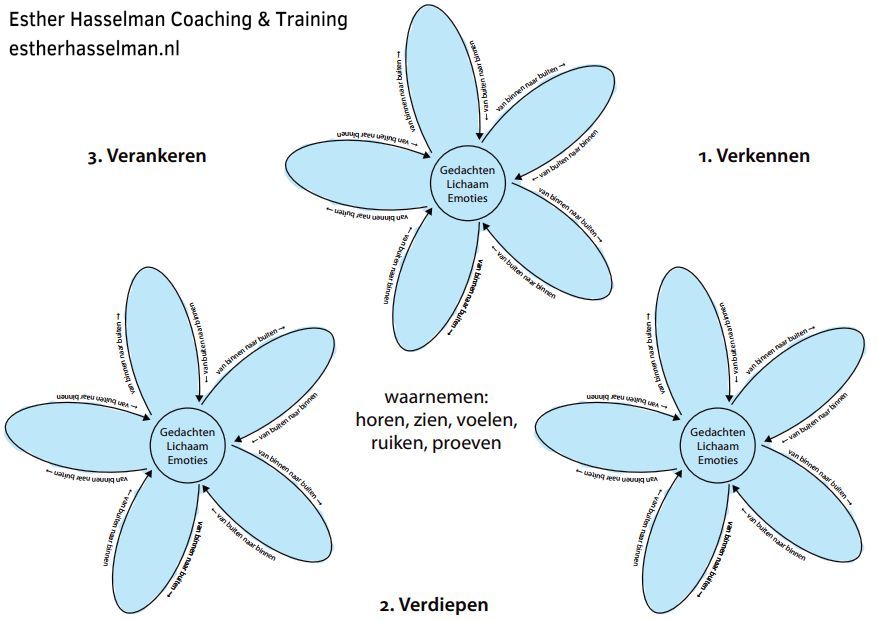 Verkennen Verdiepen Verankeren - methode voor wandel- en natuurcoaching (Esther Hasselman Coaching & Training)