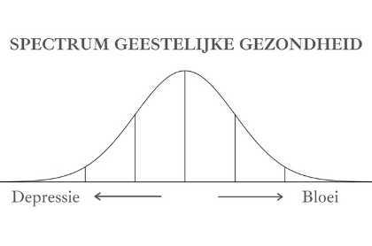 spectrum geestelijke gezondheid
