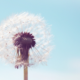 HSP-coach - sensitiviteit als kracht