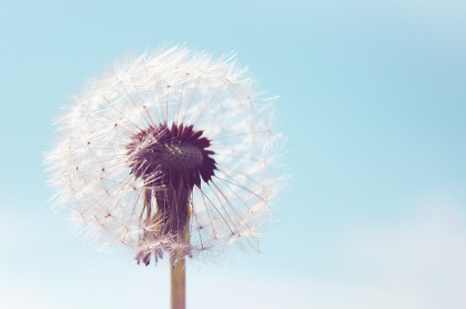 HSP-coach - sensitiviteit als kracht
