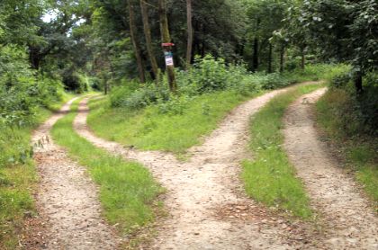wandelcoaching voor als je op een kruispunt in je leven staat