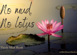 no mud no lotus - de metafoor van de lotusbloem