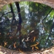 natuur als spiegel