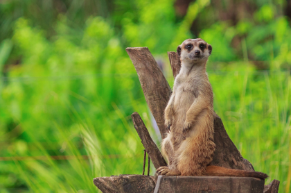 De eerste stap is mindfulness